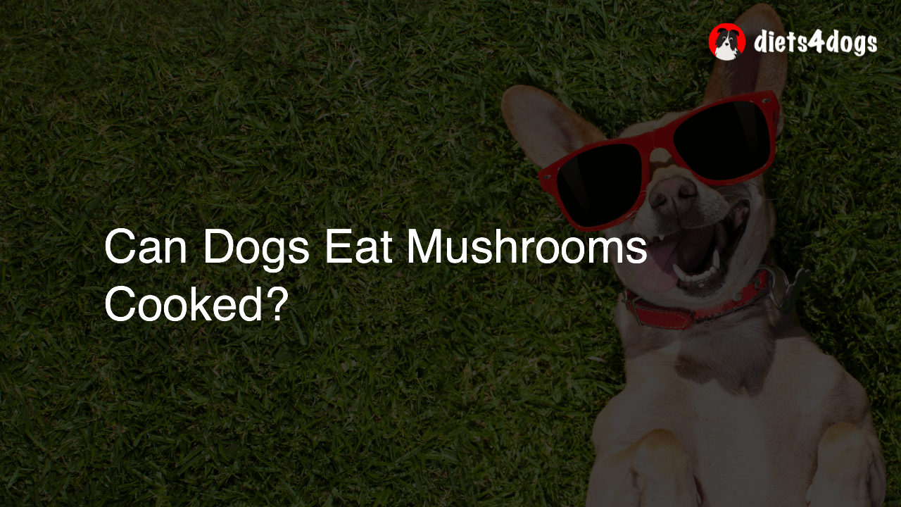 Can Dogs Eat Mushrooms Cooked?