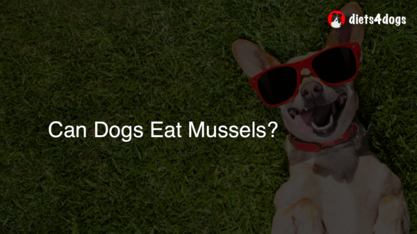 Can Dogs Eat Mussels?