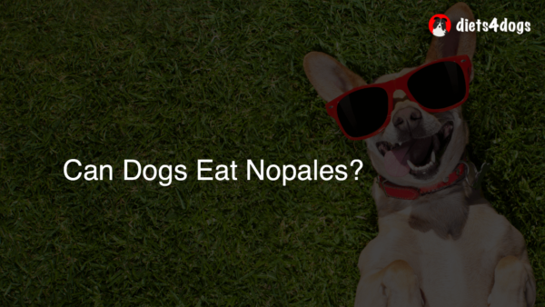 Can Dogs Eat Nopales?