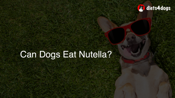 Can Dogs Eat Nutella?