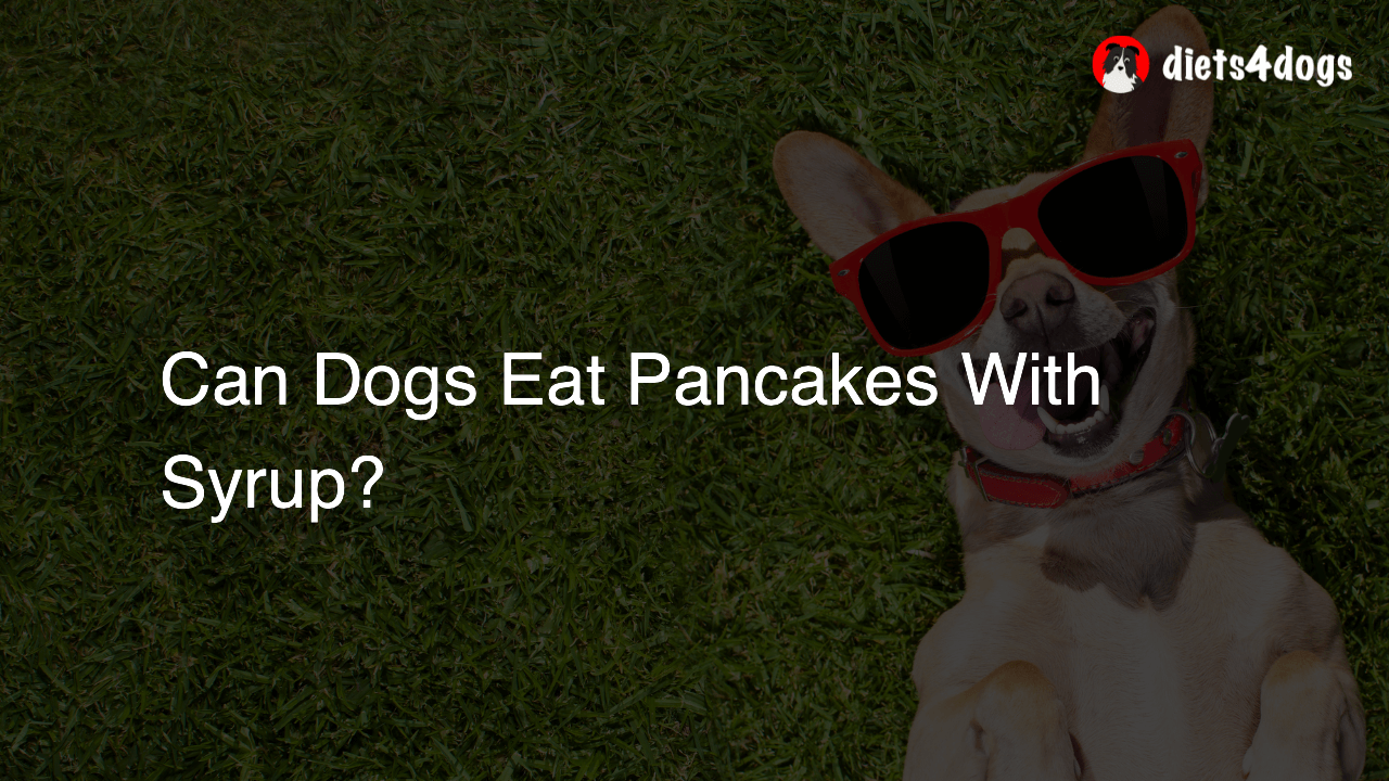 Can Dogs Eat Pancakes With Syrup?