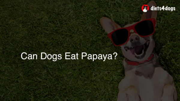 Can Dogs Eat Papaya?