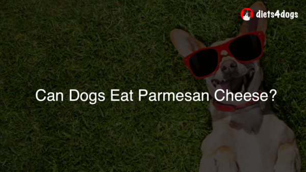 Can Dogs Eat Parmesan Cheese?