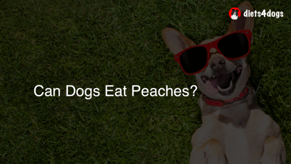 Can Dogs Eat Peaches?