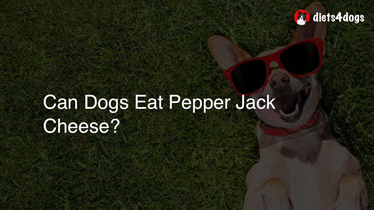 Can Dogs Eat Pepper Jack Cheese?