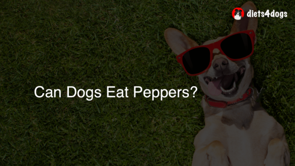 Can Dogs Eat Peppers?