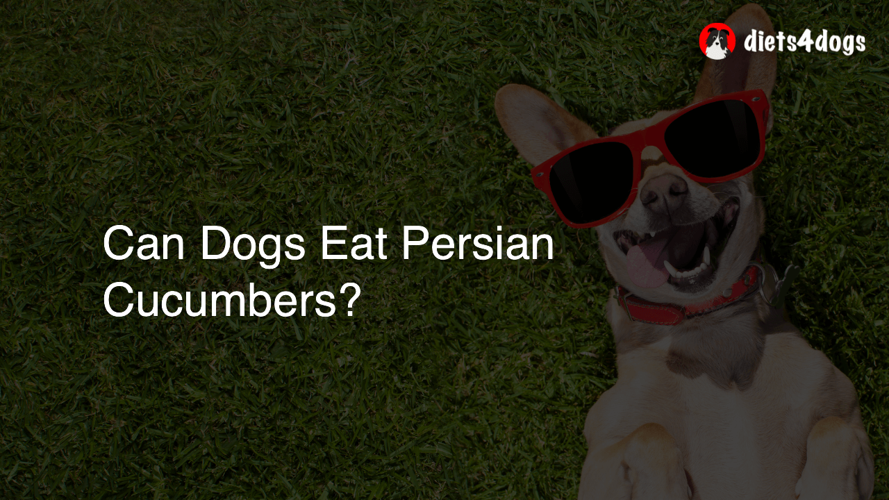 Can Dogs Eat Persian Cucumbers?