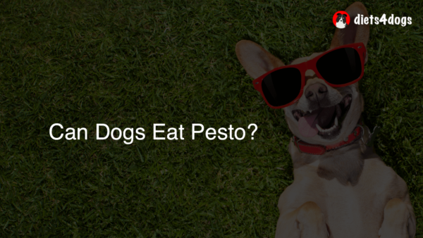 Can Dogs Eat Pesto?