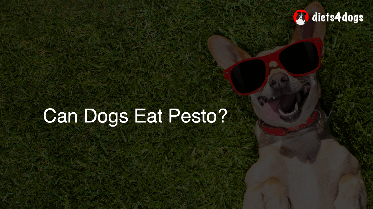 Can Dogs Eat Pesto?