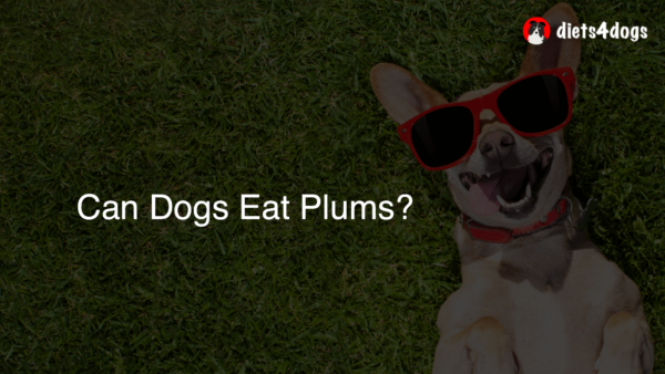 Can Dogs Eat Plums?