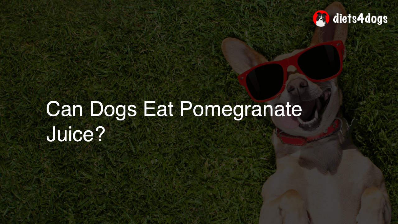 Can Dogs Eat Pomegranate Juice?