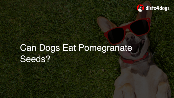 Can Dogs Eat Pomegranate Seeds?