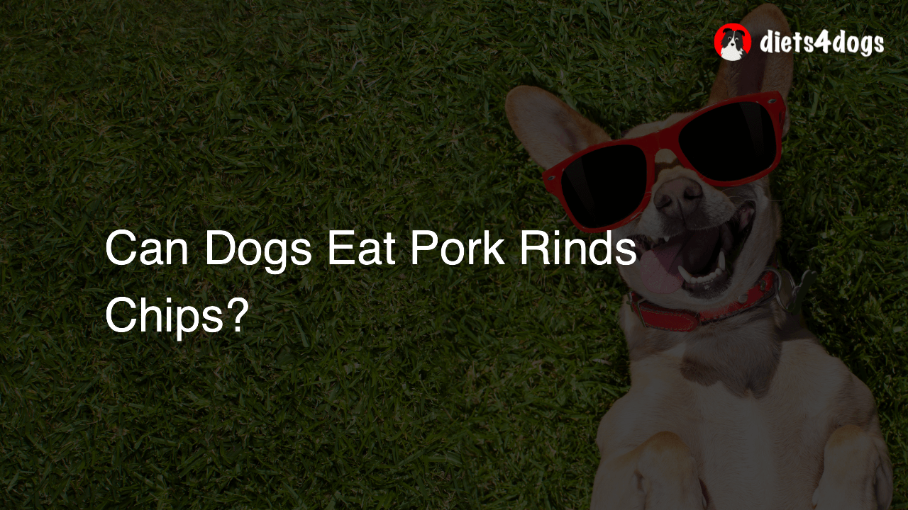 Can Dogs Eat Pork Rinds Chips?