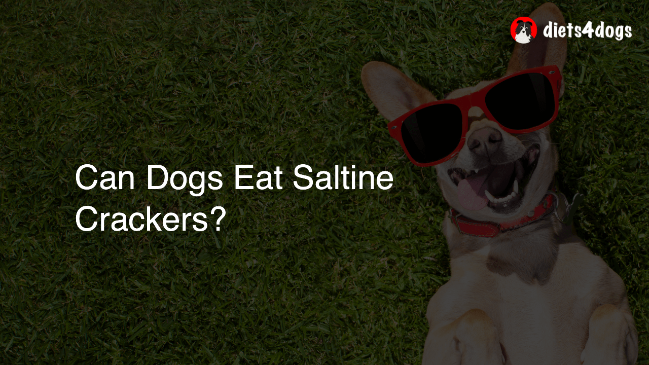 Can Dogs Eat Saltine Crackers?
