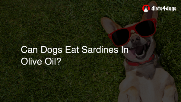 Can Dogs Eat Sardines In Olive Oil?