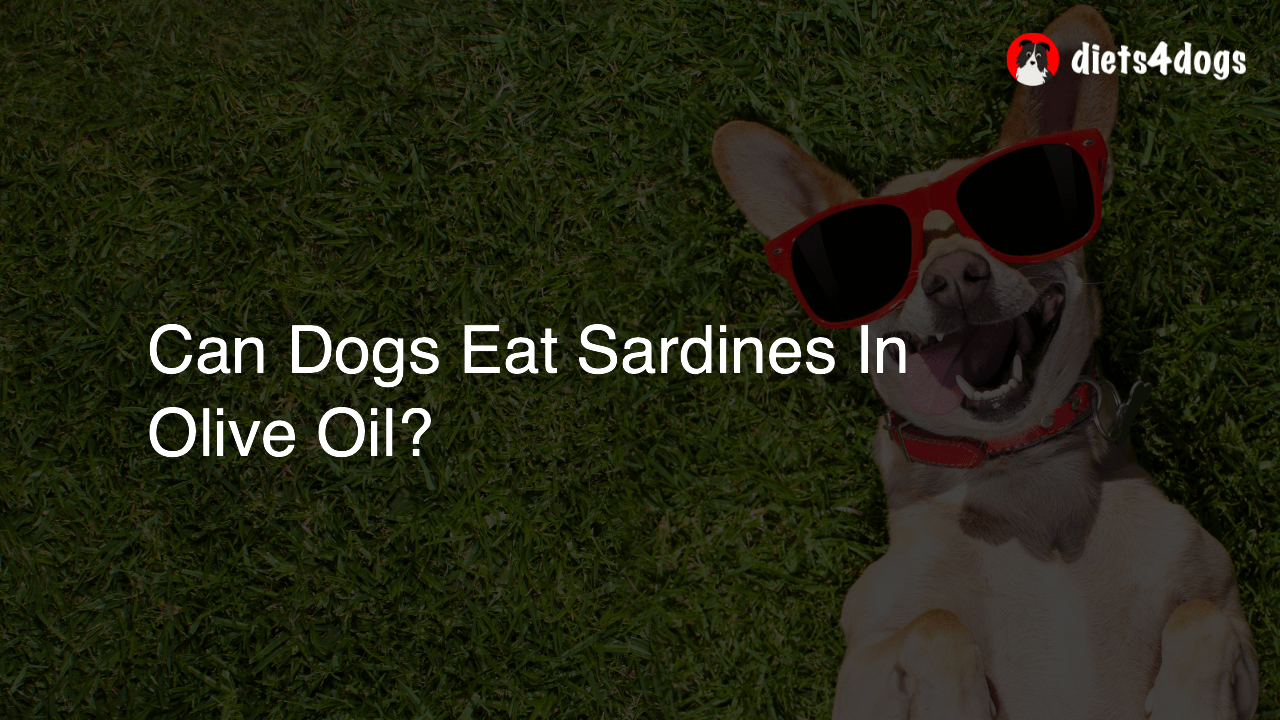 Can Dogs Eat Sardines In Olive Oil?
