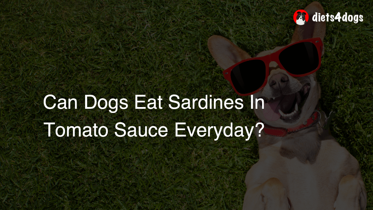 Can Dogs Eat Sardines In Tomato Sauce Everyday?