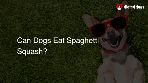 Can Dogs Eat Spaghetti Squash?