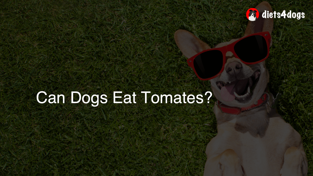 Can Dogs Eat Tomates?