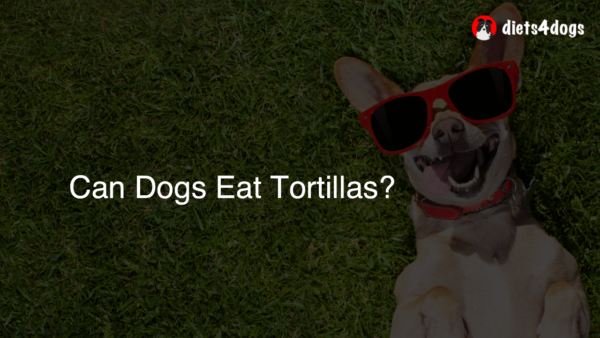 Can Dogs Eat Tortillas?