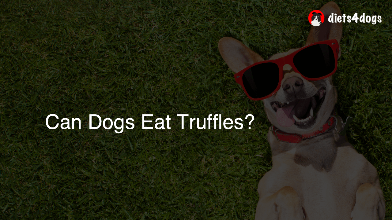 Can Dogs Eat Truffles?