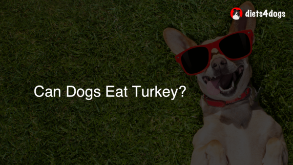 Can Dogs Eat Turkey?