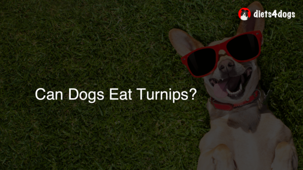 Can Dogs Eat Turnips?