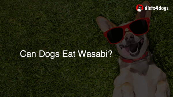 Can Dogs Eat Wasabi?