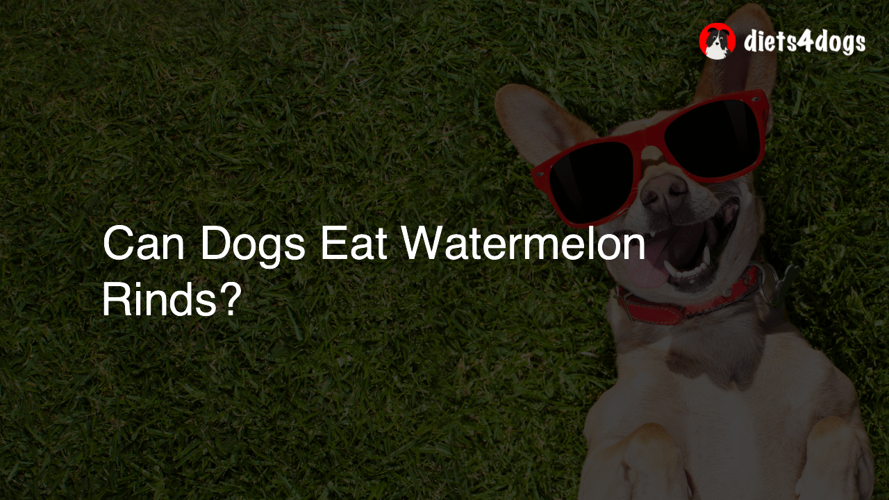 Can Dogs Eat Watermelon Rinds?