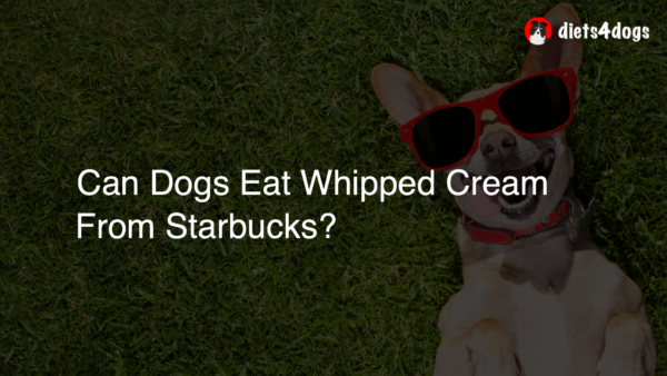 Can Dogs Eat Whipped Cream From Starbucks?