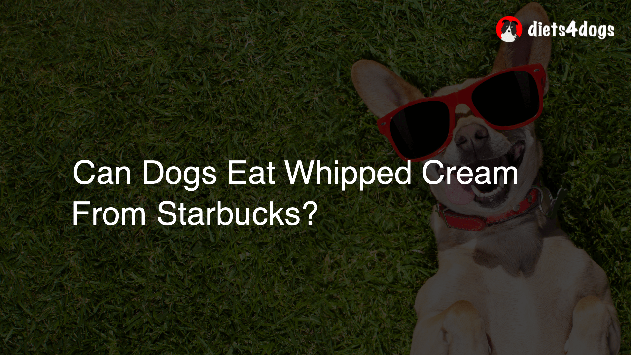 Can Dogs Eat Whipped Cream From Starbucks?
