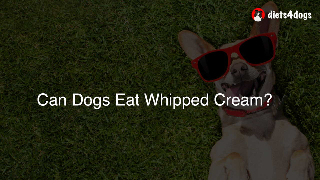 Can Dogs Eat Whipped Cream?