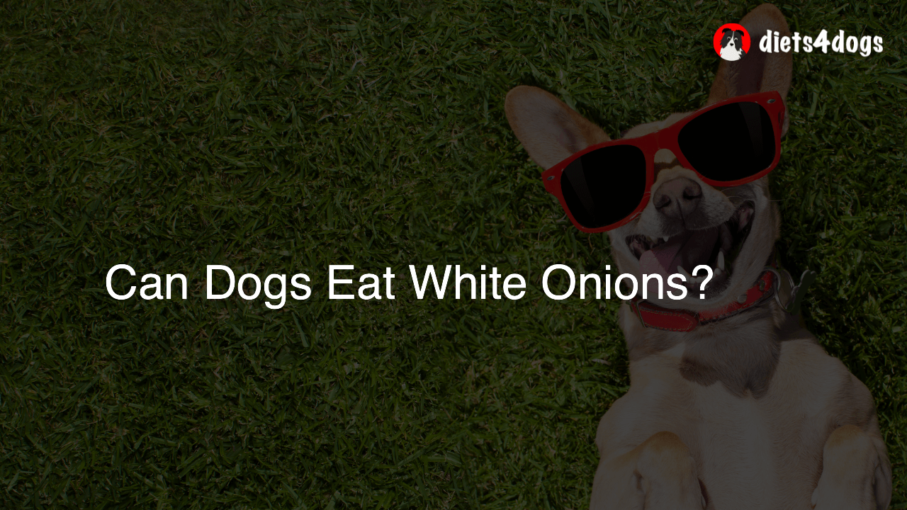 Can Dogs Eat White Onions?