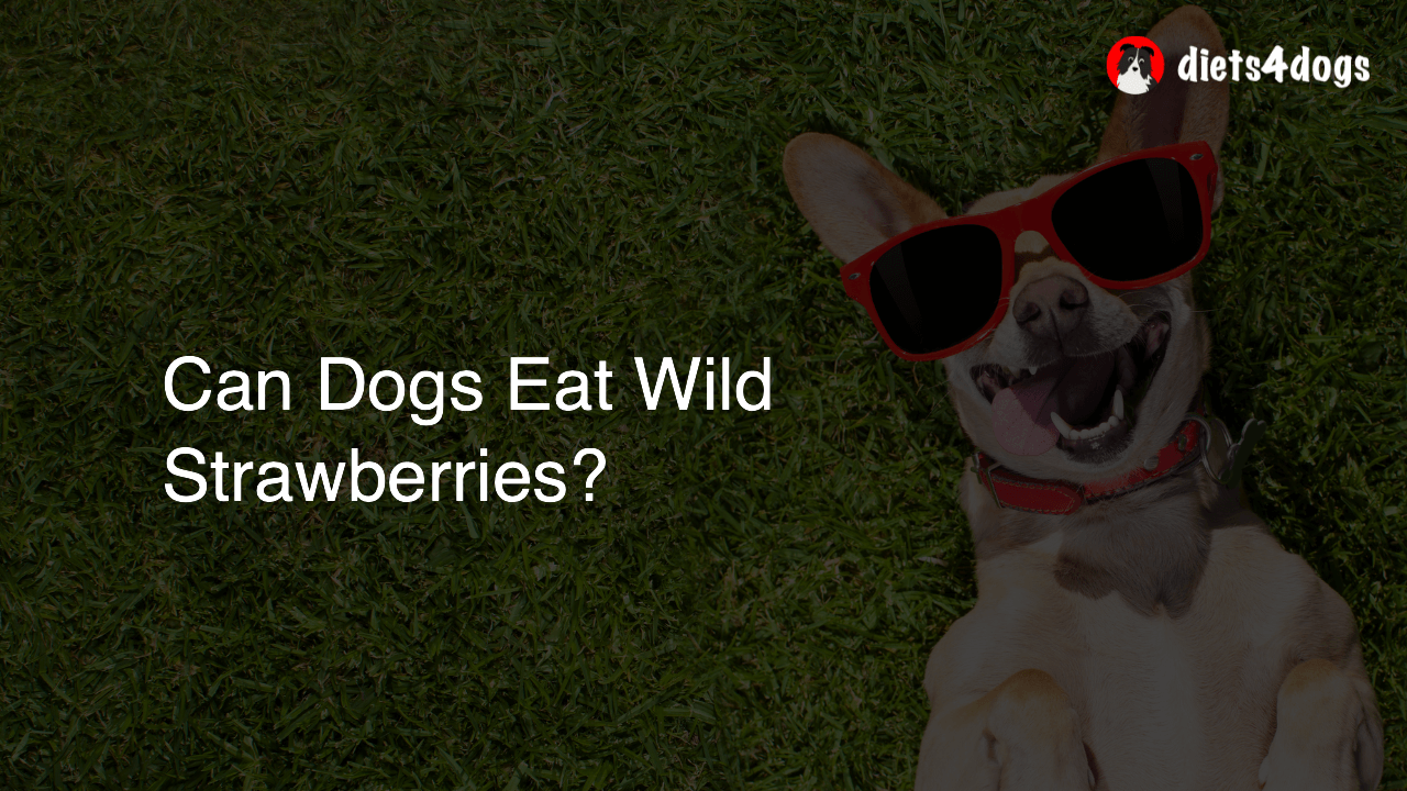 Can Dogs Eat Wild Strawberries?