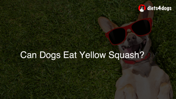 Can Dogs Eat Yellow Squash?