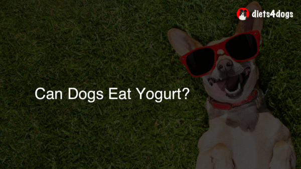 Can Dogs Eat Yogurt?