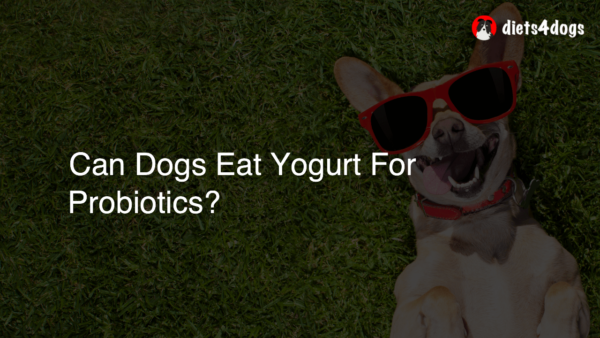 Can Dogs Eat Yogurt For Probiotics?