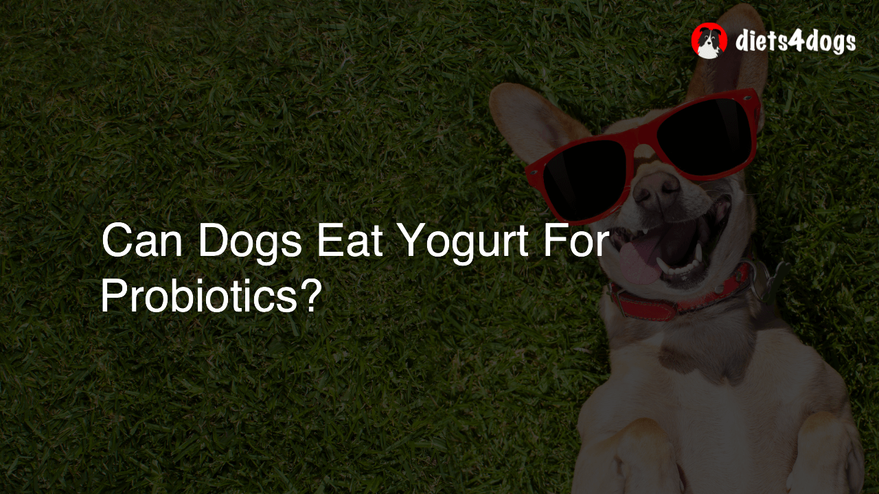 Can Dogs Eat Yogurt For Probiotics?