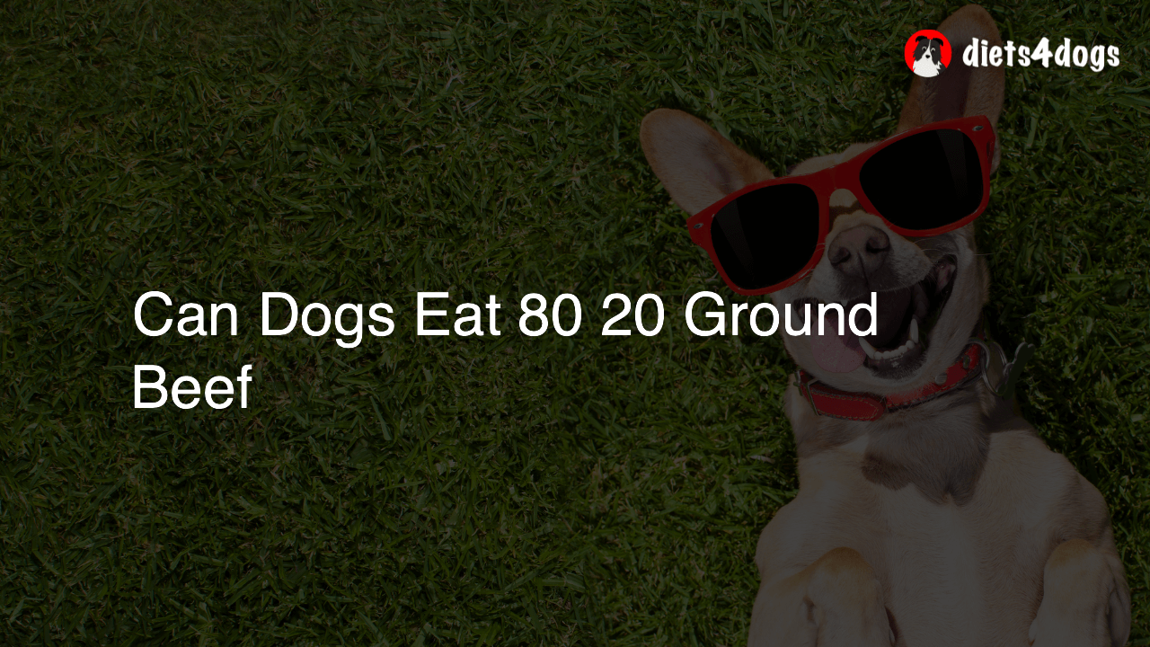 Can Dogs Eat 80 20 Ground Beef
