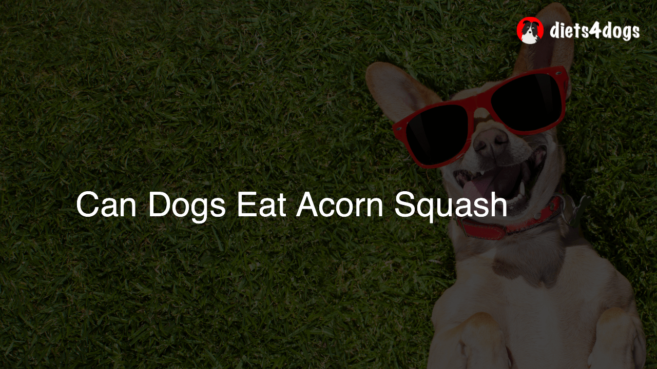Can Dogs Eat Acorn Squash