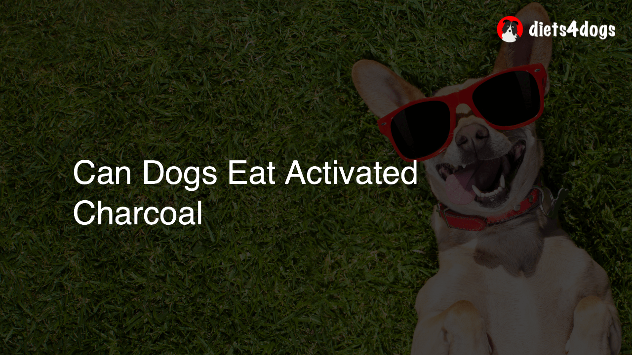Can Dogs Eat Activated Charcoal
