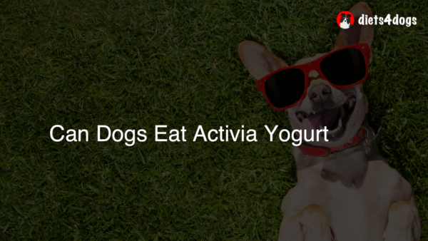 Can Dogs Eat Activia Yogurt