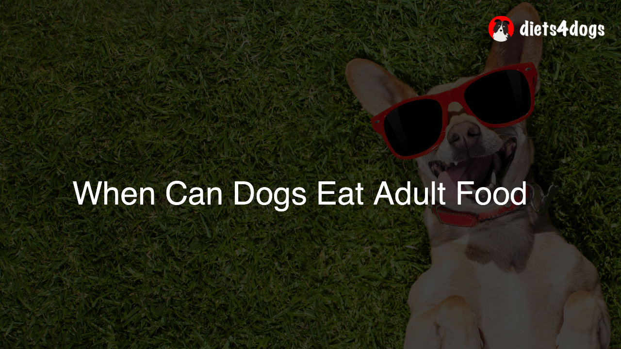 When Can Dogs Eat Adult Food