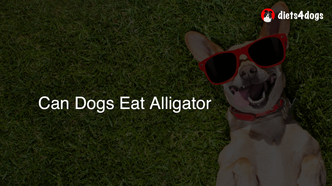 Can Dogs Eat Alligator