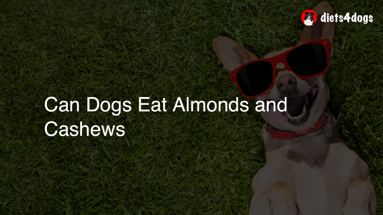 Can Dogs Eat Almonds and Cashews