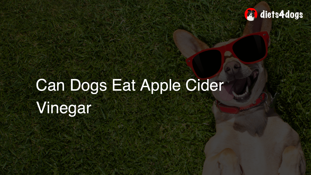 Can Dogs Eat Apple Cider Vinegar