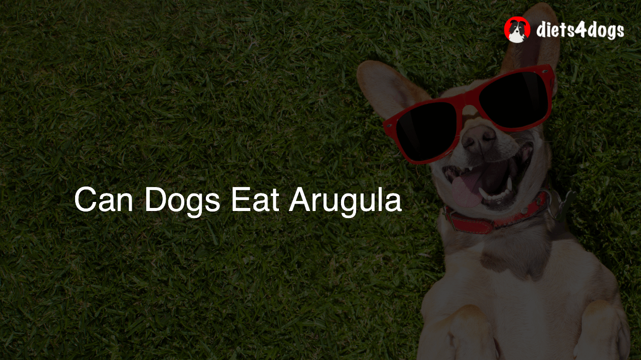Can Dogs Eat Arugula