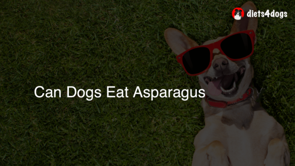 Can Dogs Eat Asparagus