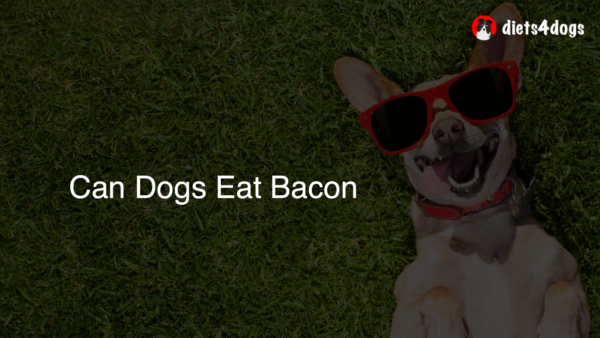 Can Dogs Eat Bacon