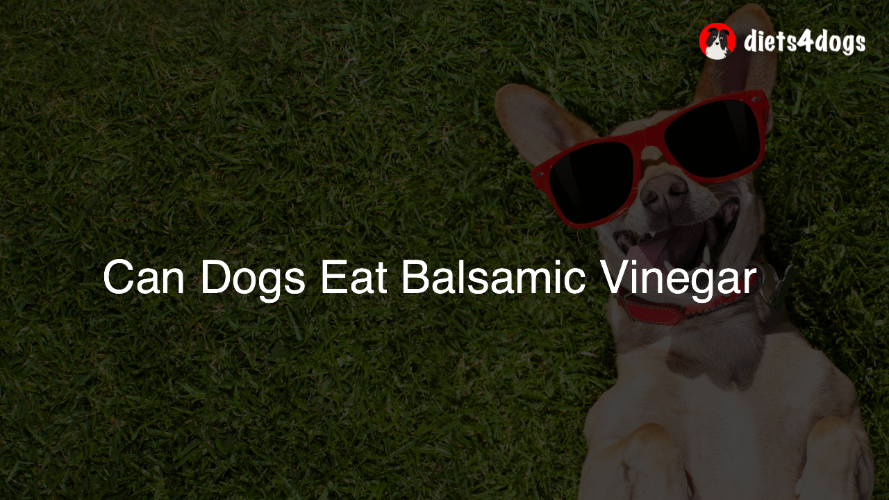 Can Dogs Eat Balsamic Vinegar